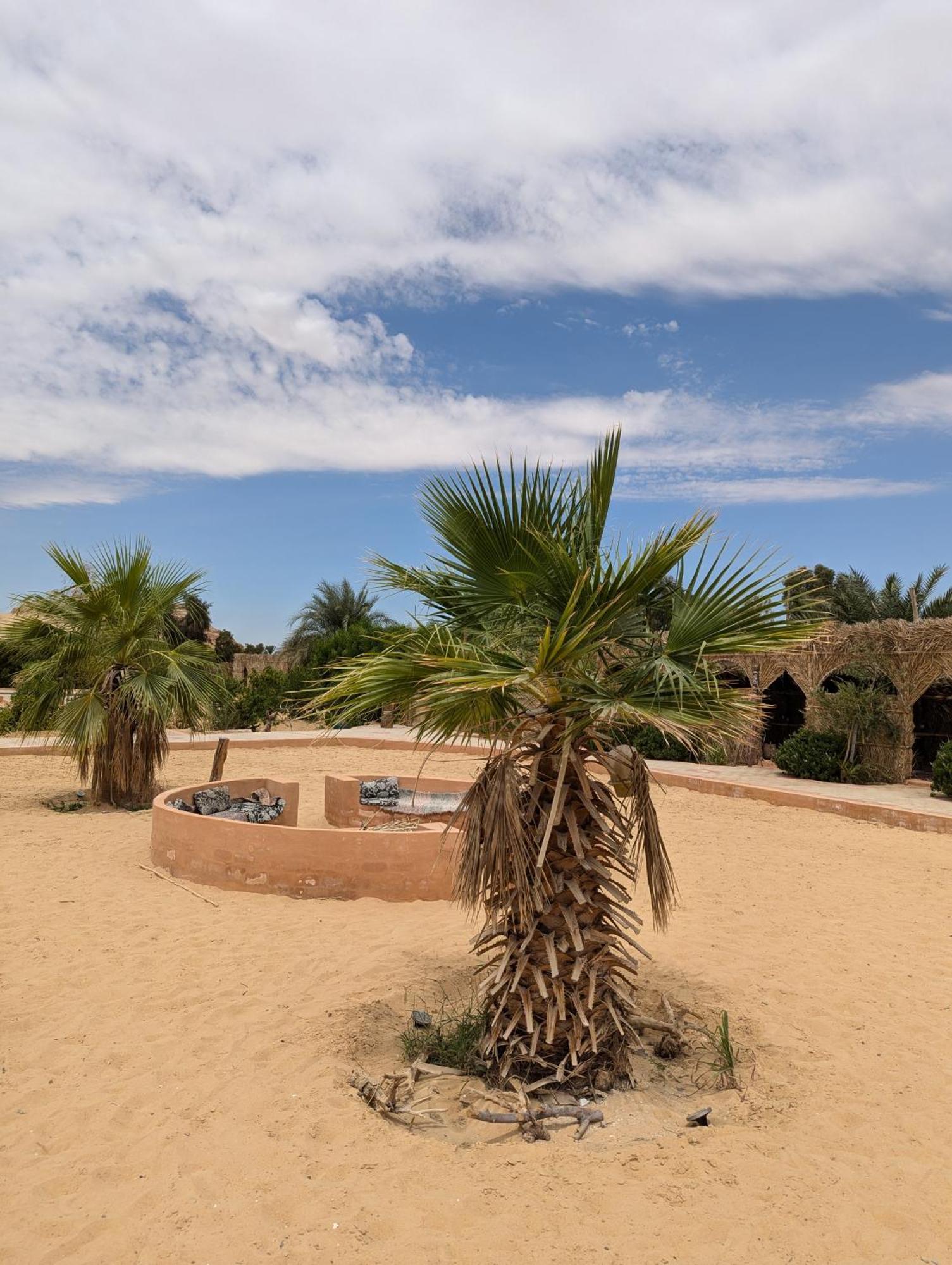 Siwa Oasis Cafour House Siwa - Hot Spring酒店 外观 照片