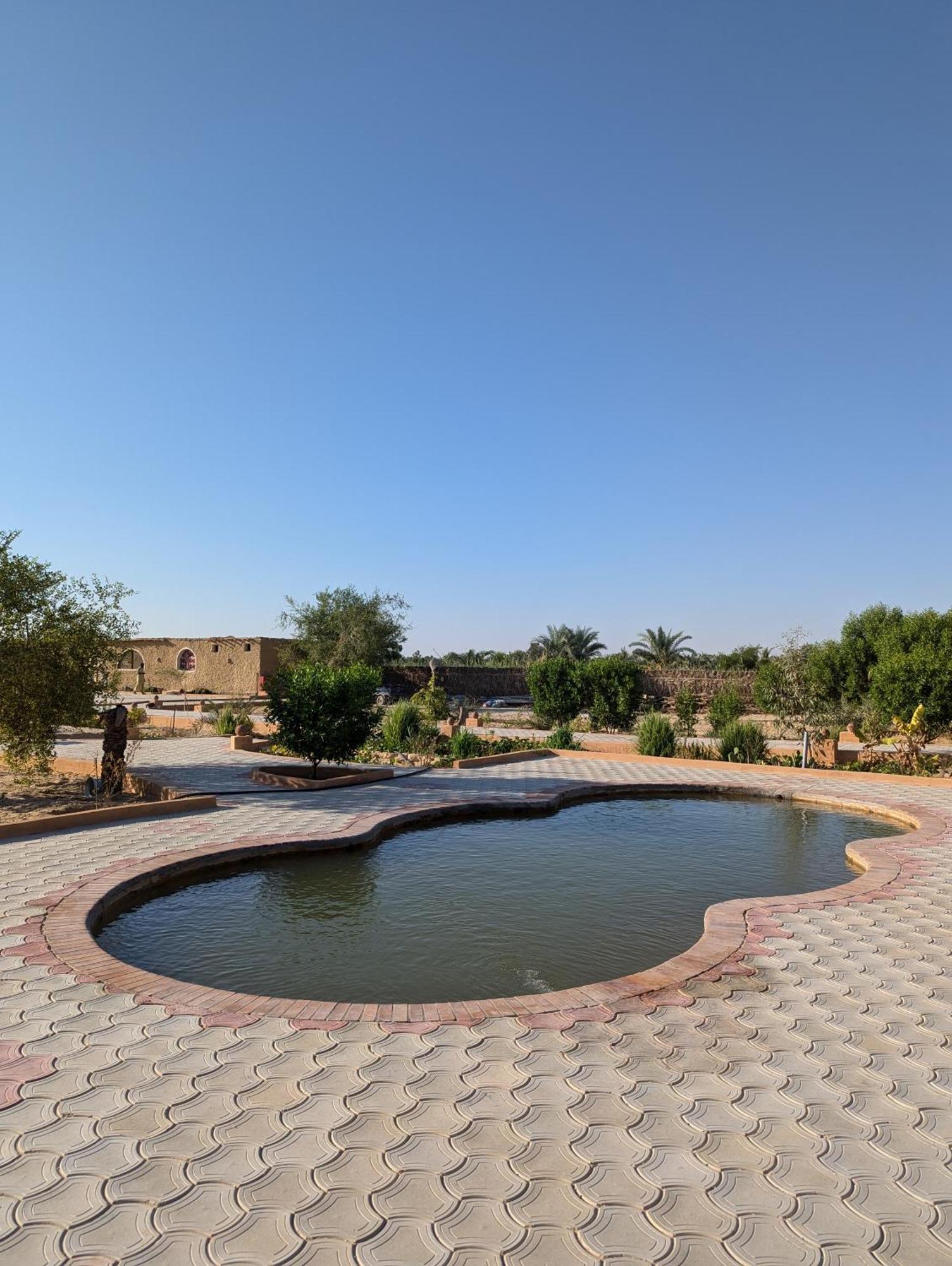 Siwa Oasis Cafour House Siwa - Hot Spring酒店 外观 照片